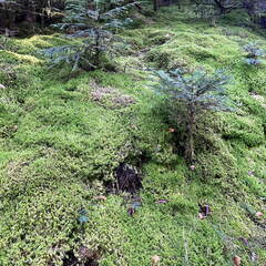 24-02-29 13-40-47 8845